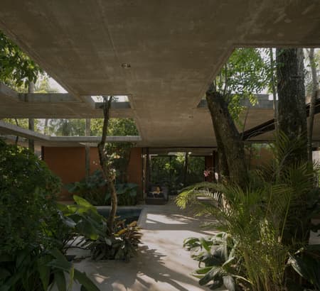 A Forest in the House